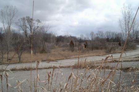 Jackson Motor Speedway - Weeds (newer photo)